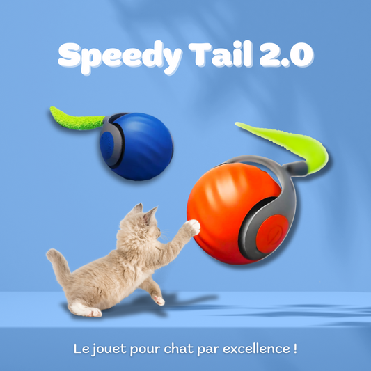 Speedy Tail 2.0